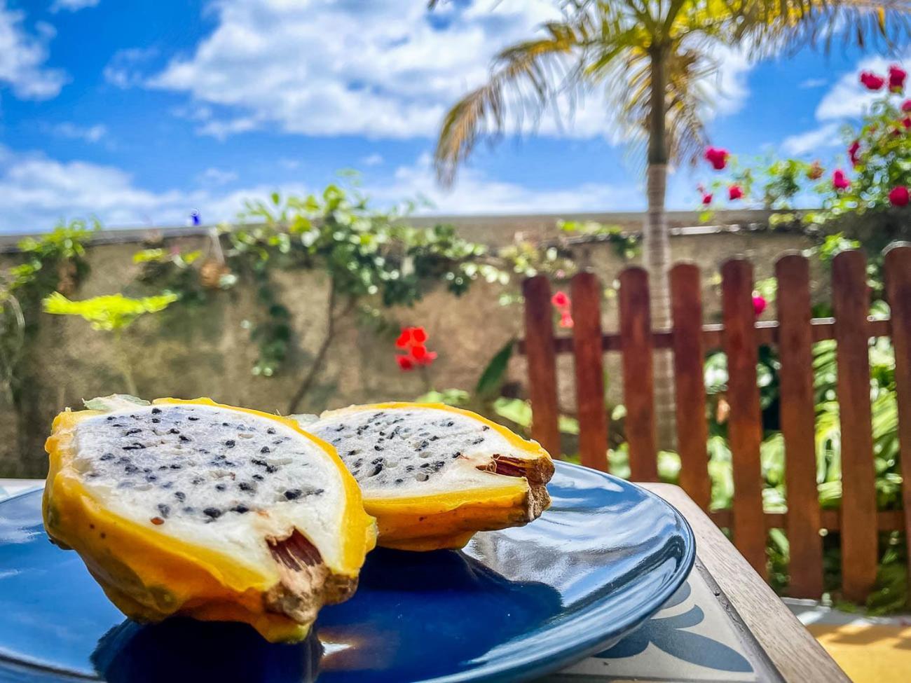 Indigo Star House Villa Ribeira Brava Ngoại thất bức ảnh